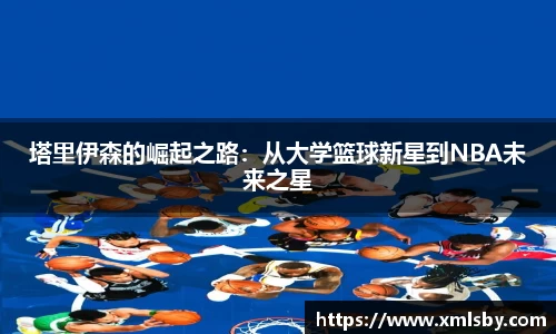球王会体育